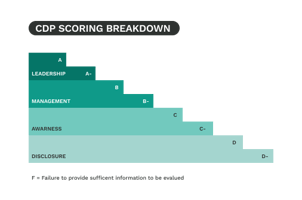 RESSOURCES CDP